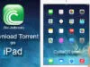 How to Download Torrents on iPad (Without Jailbreak) Download Torrent on iPad
