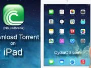 Download Torrent on iPad