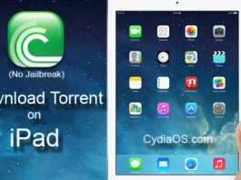 Download Torrent on iPad