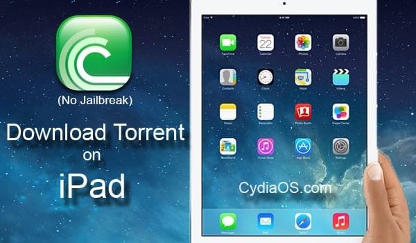 Download Torrents on iPad