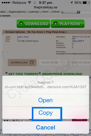 Copy Magnet link of the Torrent File you selected