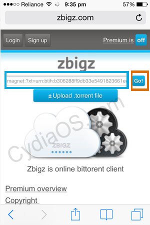zbigz - Paste the Magnet link in the box and hit "Go!"