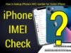 How to check iPhone IMEI number online