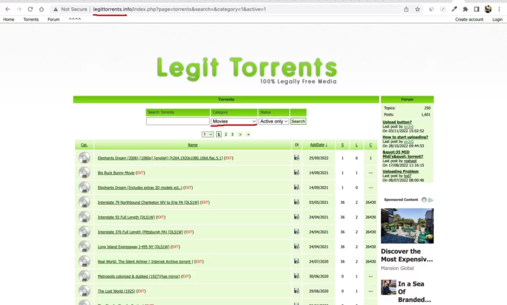 Open any torrent 